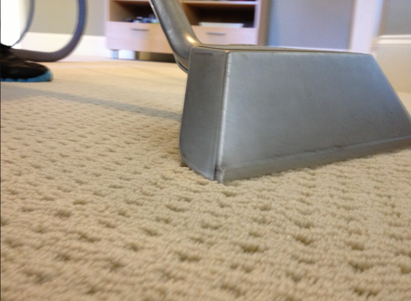  Professional Carpet Cleaning Houston